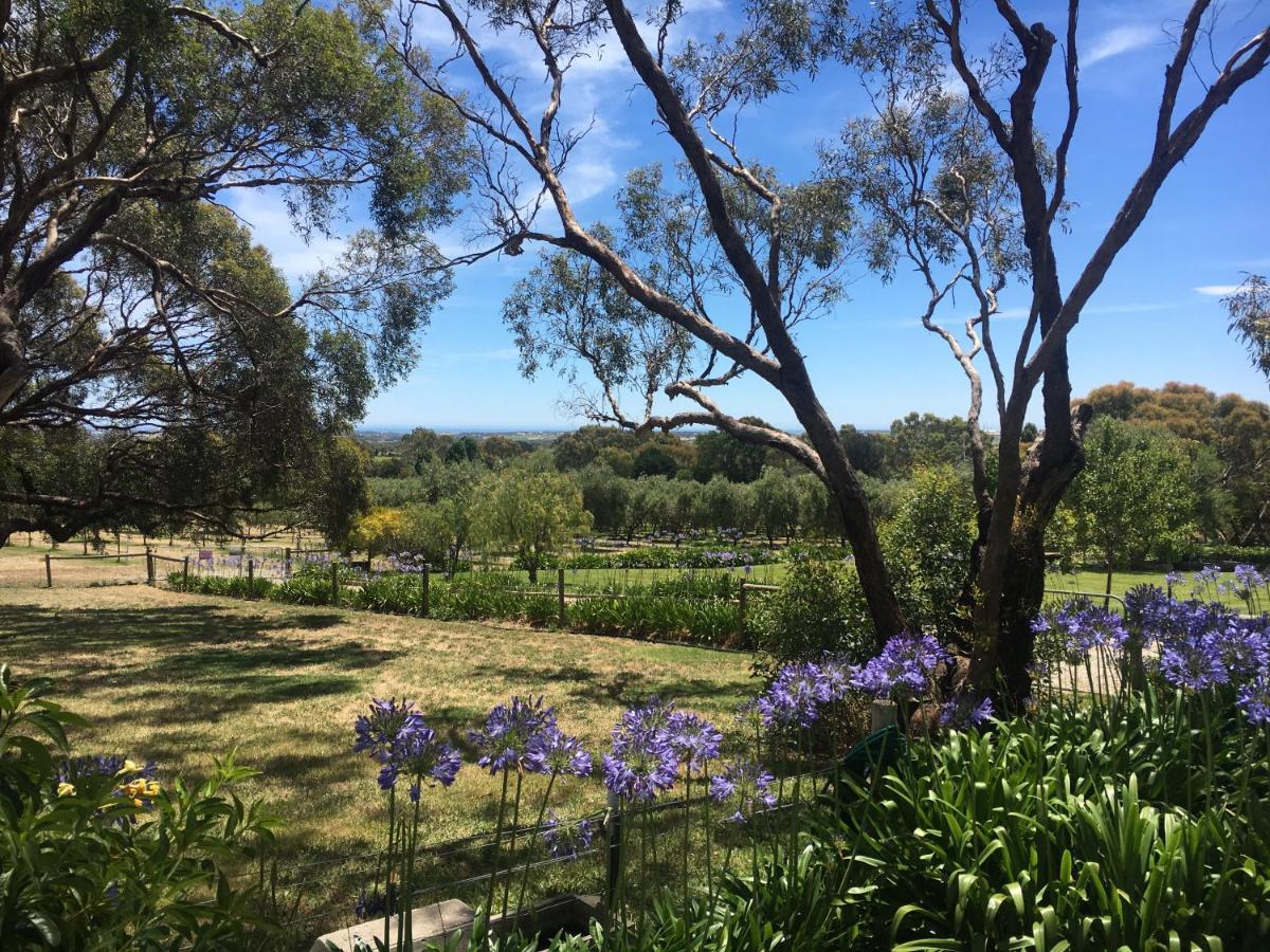 Bed and Breakfast The Farm Willunga Екстер'єр фото