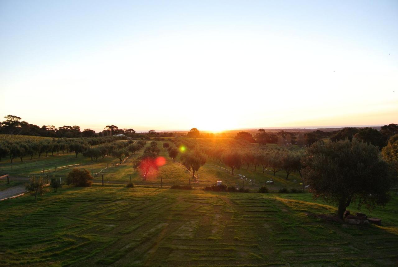 Bed and Breakfast The Farm Willunga Номер фото