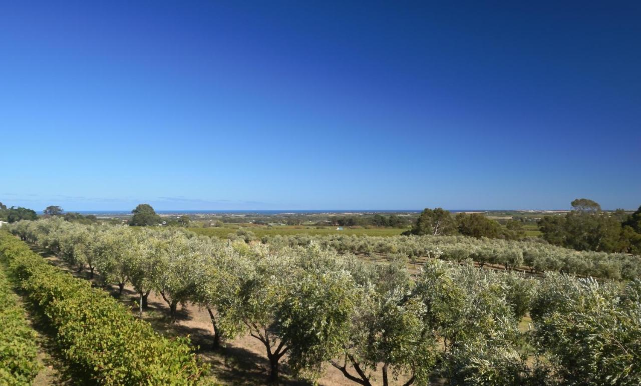 Bed and Breakfast The Farm Willunga Екстер'єр фото