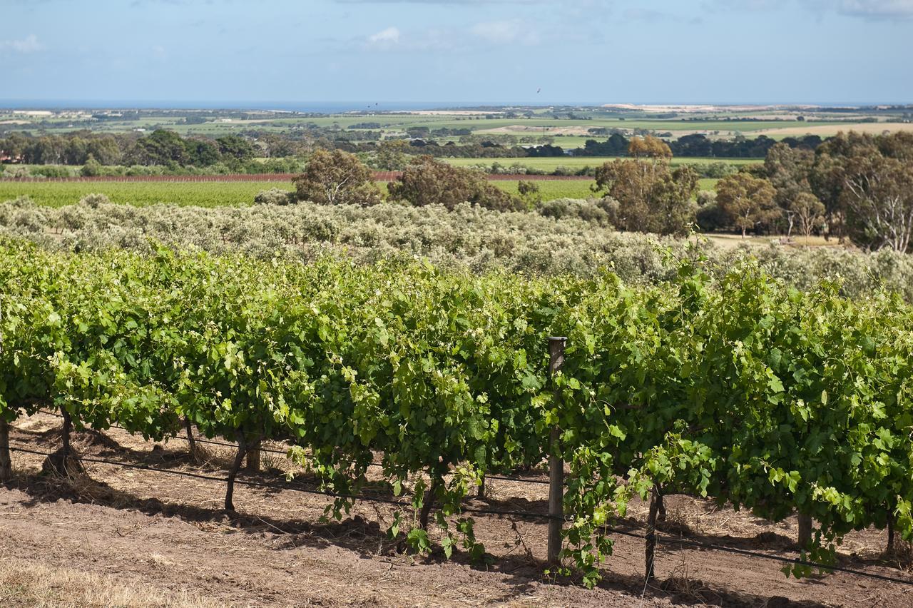 Bed and Breakfast The Farm Willunga Екстер'єр фото