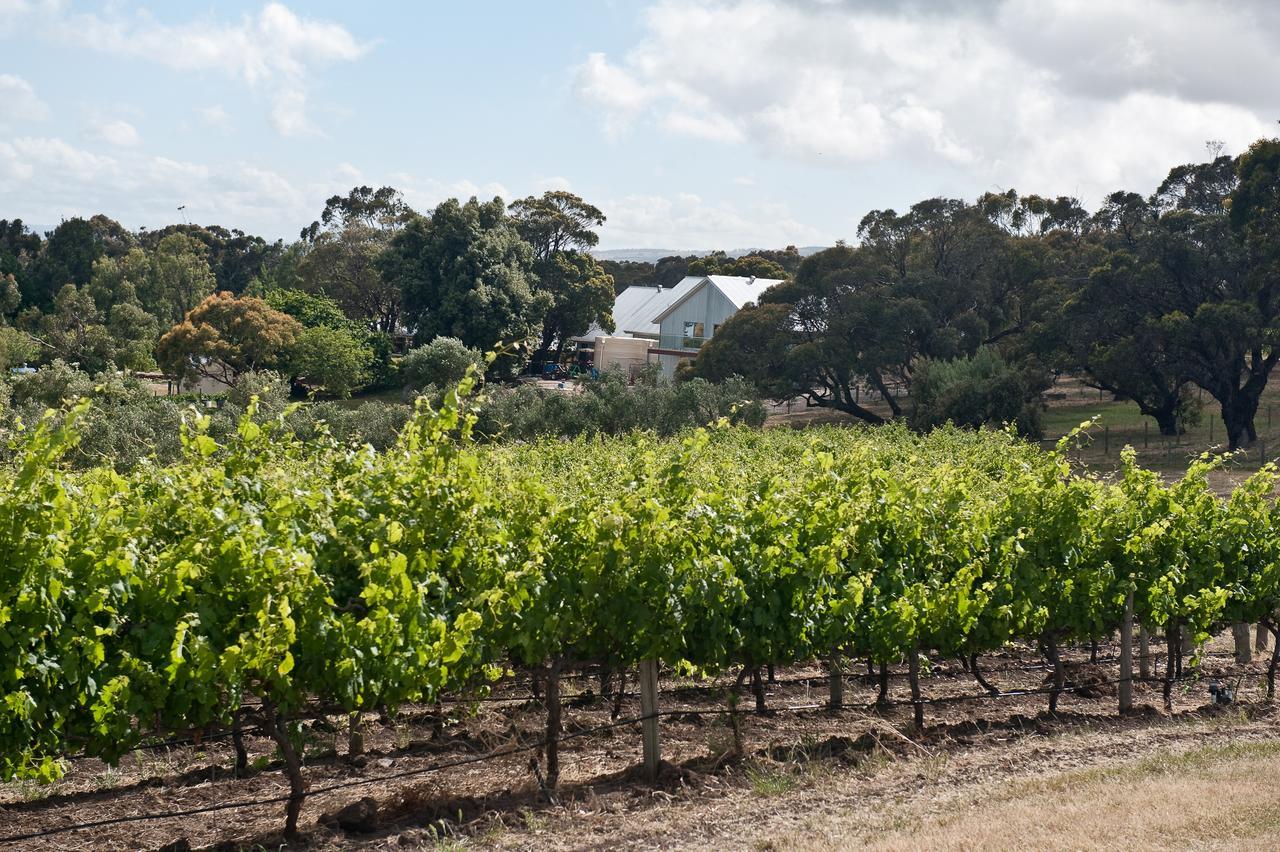 Bed and Breakfast The Farm Willunga Екстер'єр фото