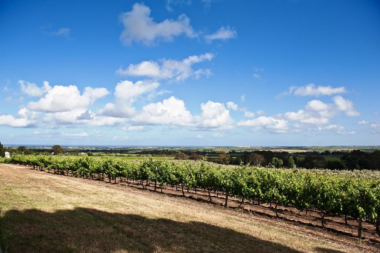Bed and Breakfast The Farm Willunga Екстер'єр фото